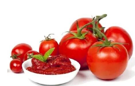 Polpa de tomate — Sorgatto Alimentos